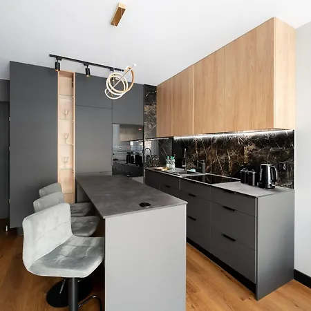 Wroblewskiego Chic With Garden Apartment